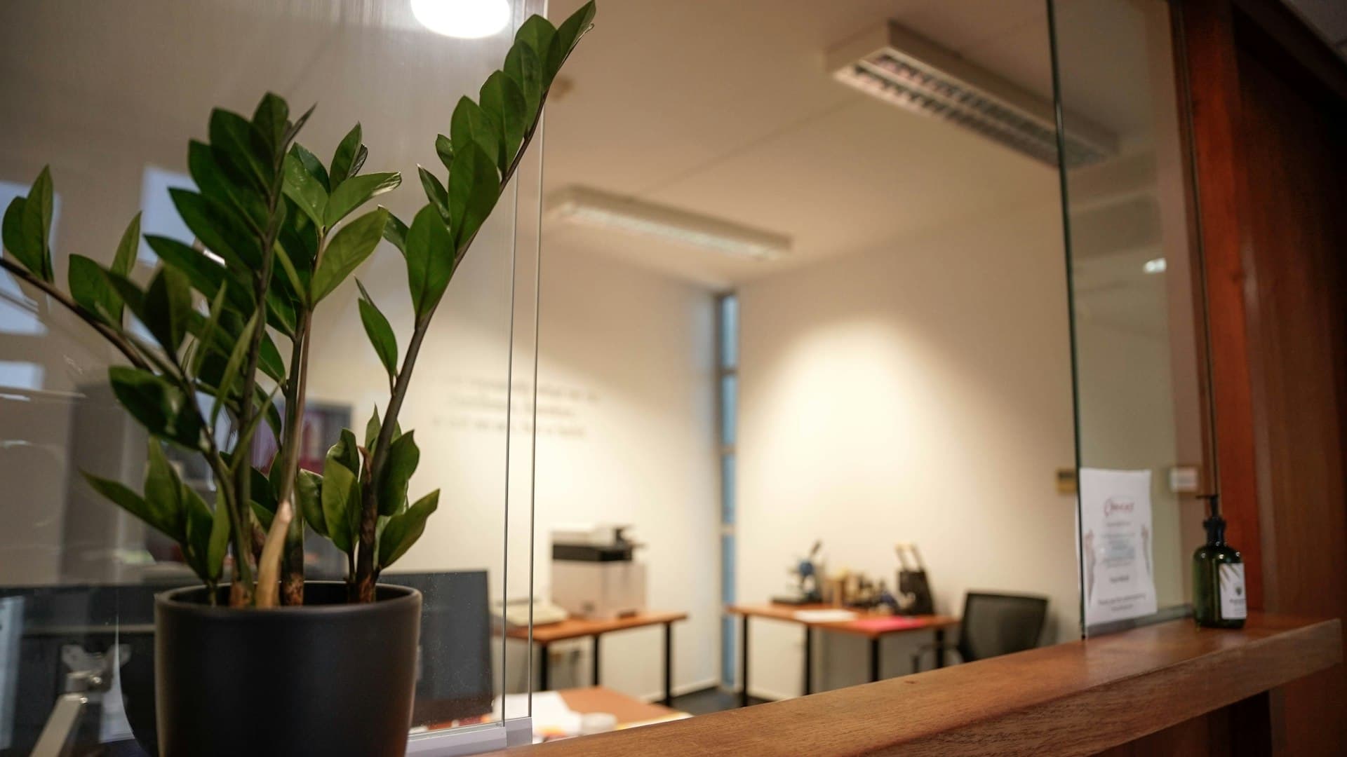 A calm, minimal office reception area